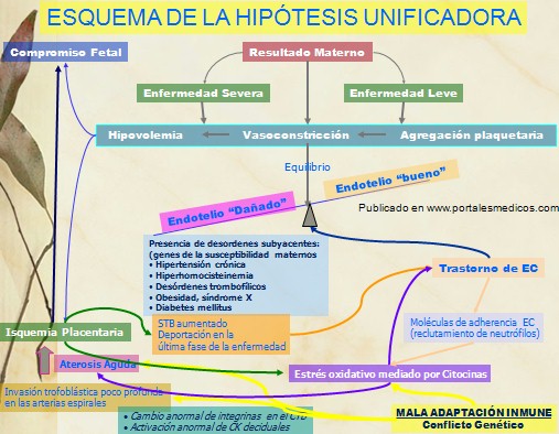 preeclamsia/hipotesis_unificadora_preeclampsia preeclamsia/hipotesis_unificadora_preeclampsia